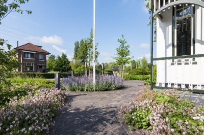 Landelijke en kleurrijke bloementuin